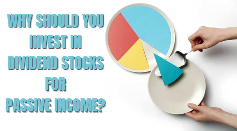 Why Should you invest in Dividend Stocks for passive income?