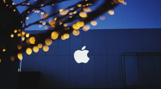 Will Apple stock face challenges or opportunities in 2024?