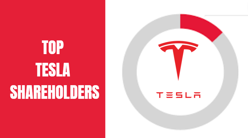 Top Tesla Shareholders in 2024