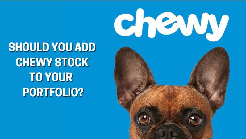 Should You Add Chewy Stock to Your July 2024 Portfolio?